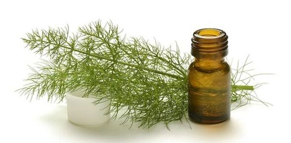 Fennel oil for breast enlargement